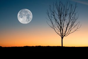 Polna luna in darila